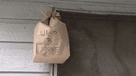 fake brown paper bag|are paper bags deterrents.